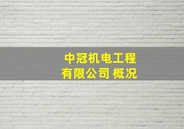 中冠机电工程有限公司 概况